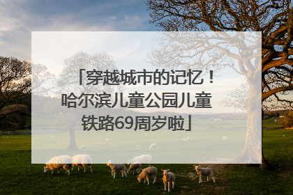 穿越城市的记忆！哈尔滨儿童公园儿童铁路69周岁啦