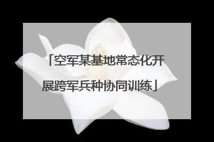 空军某基地常态化开展跨军兵种协同训练
