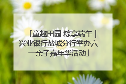童趣田园 粽享端午｜兴业银行盐城分行举办六一亲子嘉年华活动