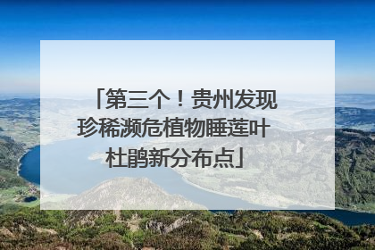 第三个！贵州发现珍稀濒危植物睡莲叶杜鹃新分布点