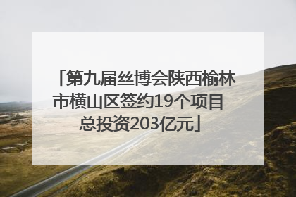 第九届丝博会陕西榆林市横山区签约19个项目 总投资203亿元