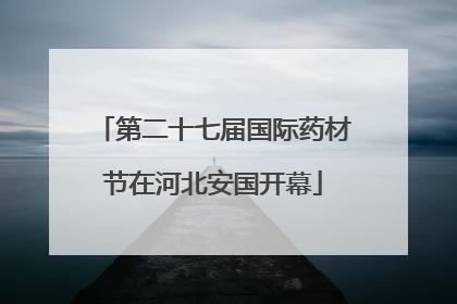 第二十七届国际药材节在河北安国开幕
