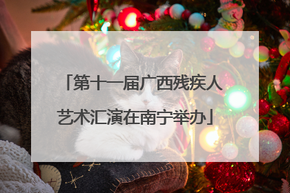 第十一届广西残疾人艺术汇演在南宁举办