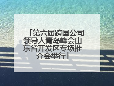 第六届跨国公司领导人青岛峰会山东省开发区专场推介会举行