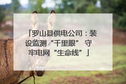 罗山县供电公司：装设监测“千里眼” 守牢电网“生命线”