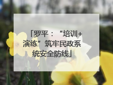 罗平：“培训+演练”筑牢民政系统安全防线