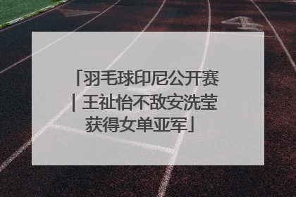 羽毛球印尼公开赛｜王祉怡不敌安洗莹 获得女单亚军