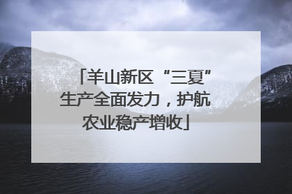 羊山新区“三夏”生产全面发力，护航农业稳产增收
