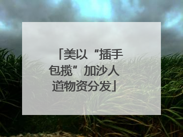 美以“插手包揽”加沙人道物资分发