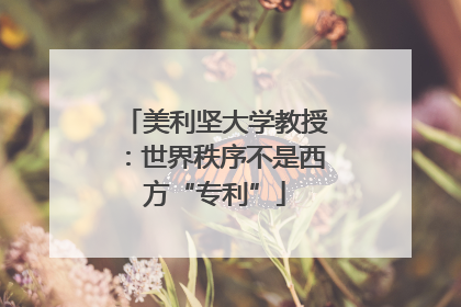 美利坚大学教授：世界秩序不是西方“专利”