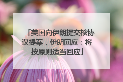美国向伊朗提交核协议提案，伊朗回应：将按原则适当回应