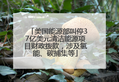 美国能源部叫停37亿美元清洁能源项目财政拨款，涉及氢能、碳捕集等