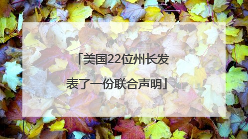 美国22位州长发表了一份联合声明