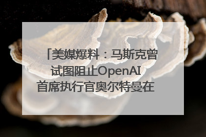 美媒爆料：马斯克曾试图阻止OpenAI首席执行官奥尔特曼在中东的AI交易