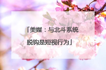 美媒：与北斗系统脱钩是短视行为