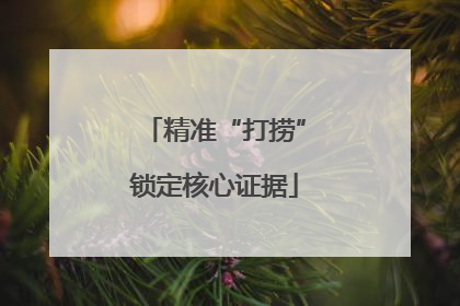 精准“打捞”锁定核心证据
