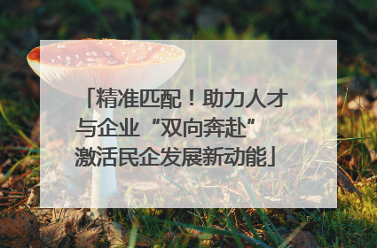 精准匹配！助力人才与企业“双向奔赴” 激活民企发展新动能