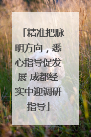精准把脉明方向，悉心指导促发展 成都经实中迎调研指导