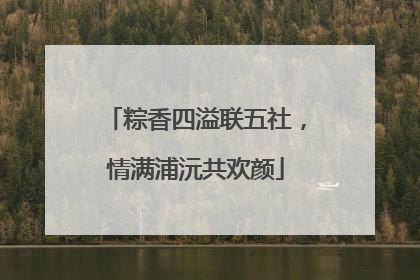 粽香四溢联五社，情满浦沅共欢颜