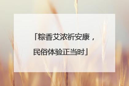 粽香艾浓祈安康，民俗体验正当时