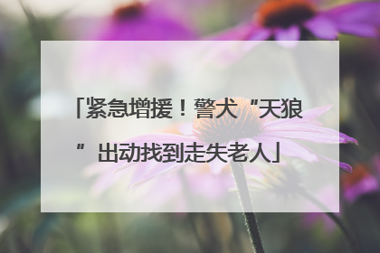 紧急增援！警犬“天狼”出动找到走失老人