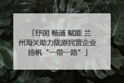 纾困 畅通 赋能 兰州海关助力陇原民营企业扬帆“一带一路”