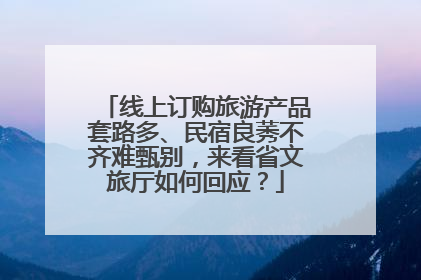 线上订购旅游产品套路多、民宿良莠不齐难甄别，来看省文旅厅如何回应？