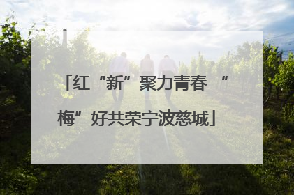 红“新”聚力青春 “梅”好共荣宁波慈城