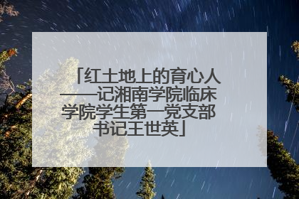 红土地上的育心人——记湘南学院临床学院学生第一党支部书记王世英
