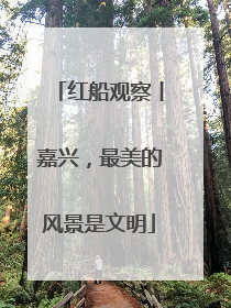 红船观察丨嘉兴，最美的风景是文明
