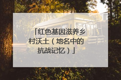 红色基因滋养乡村沃土（地名中的抗战记忆）