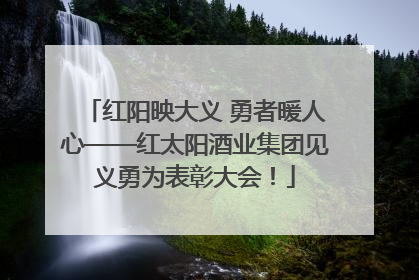 红阳映大义 勇者暖人心——红太阳酒业集团见义勇为表彰大会！