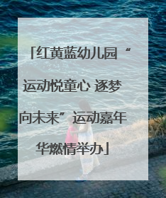 红黄蓝幼儿园“运动悦童心 逐梦向未来”运动嘉年华燃情举办
