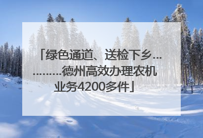绿色通道、送检下乡…………德州高效办理农机业务4200多件