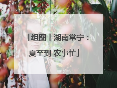 组图丨湖南常宁：夏至到 农事忙