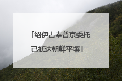 绍伊古奉普京委托已抵达朝鲜平壤