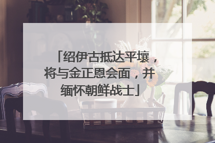 绍伊古抵达平壤，将与金正恩会面，并缅怀朝鲜战士