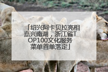 绍兴阿卡贝拉亮相嘉兴南湖，浙江省TOP100文化服务菜单首单落定