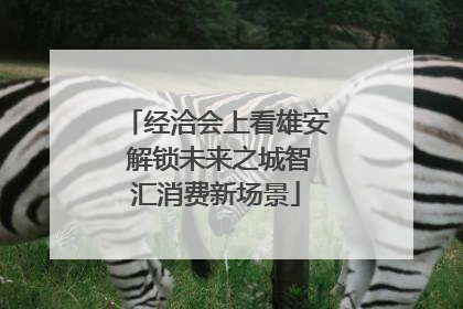 经洽会上看雄安 解锁未来之城智汇消费新场景
