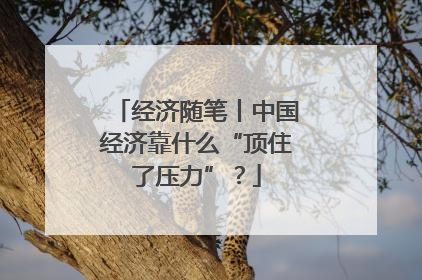 经济随笔丨中国经济靠什么“顶住了压力”？