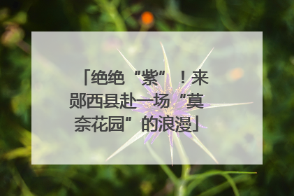 绝绝“紫”！来郧西县赴一场“莫奈花园”的浪漫