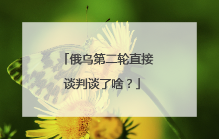 俄乌第二轮直接谈判谈了啥？