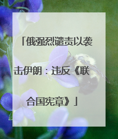 俄强烈谴责以袭击伊朗：违反《联合国宪章》