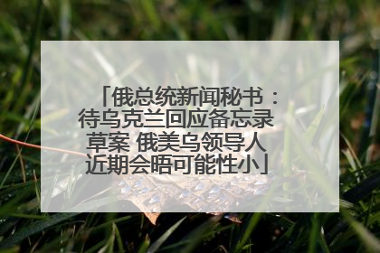 俄总统新闻秘书：待乌克兰回应备忘录草案 俄美乌领导人近期会晤可能性小