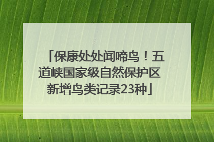 保康处处闻啼鸟！五道峡国家级自然保护区新增鸟类记录23种