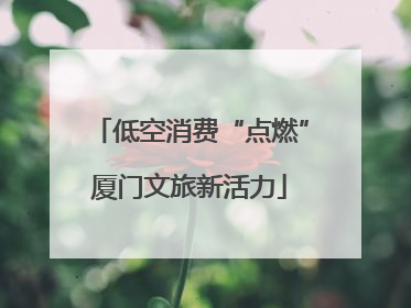 低空消费“点燃”厦门文旅新活力
