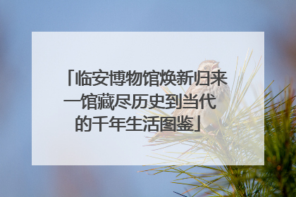 临安博物馆焕新归来 一馆藏尽历史到当代的千年生活图鉴