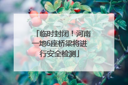 临时封闭！河南一地6座桥梁将进行安全检测