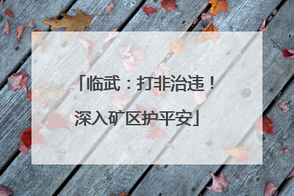 临武：打非治违！深入矿区护平安