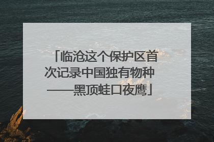 临沧这个保护区首次记录中国独有物种——黑顶蛙口夜鹰